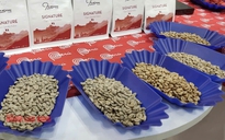 Giá cà phê hôm nay 22-8: Tăng tiếp 3 con số, cơn sốt cà phê trở lại