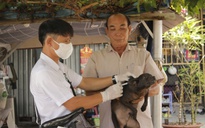 Người đàn ông ở TP HCM bị chó, rắn cắn tử vong