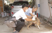 Vụ người đàn ông ở TP HCM bị chó, rắn cắn tử vong: Khẩn trương khoanh vùng xử lý