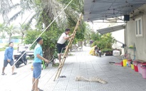 Hỗ trợ người dân chằng chống nhà cửa trước khi bão số 5 ập vào