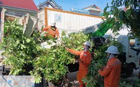 Bão số 5 áp sát: Quảng Trị khẩn cấp bảo vệ lưới điện, giữ an toàn cho người dân