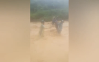 VIDEO: Cán bộ xã vượt lũ dữ đưa dân bản đến nơi an toàn