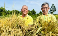 Bình Điền – Hành trình hơn nửa thế kỷ phụng sự nông dân và tầm nhìn tiên phong xanh hóa - số hóa