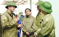 Ưu tiên khôi phục hoạt động y tế, giáo dục sau bão