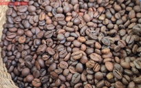 Giá cà phê hôm nay 27-8: Robusta tăng 5 phiên liên tục, cà phê Việt giảm thị phần tại Nhật