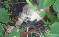 Phát hiện bộ xương người trên núi tại Gia Lai: Đã có người thân đến nhận