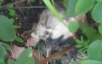 Thông tin mới nhất về bộ xương người trên núi Gia Lai