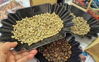 Giá cà phê hôm nay 4-8: Giá trong nước cao hơn thế giới 13.000 đồng/kg