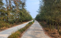 9 người bị khởi tố trong vụ đường ven biển 3,8 tỉ bị 'rút ruột' hơn 1 tỉ