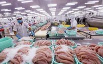 Lo xuất khẩu thủy sản giảm vì thuế đối ứng