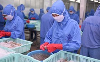 Thuế quan của Mỹ có hiệu lực từ 7-8, doanh nghiệp Việt chủ động thích ứng