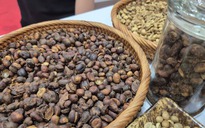 Giá cà phê hôm nay 10-9: Giảm, khối ngoại lấn át thị phần