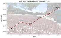 Giá cà phê hôm nay 14-9: Chốt tuần tăng, nhà vườn xả kho chuẩn bị vụ mới