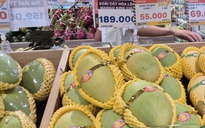 Xoài cát Hòa Lộc giá cao ngất, xuất khẩu "đứng hình"