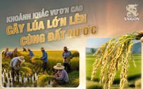 Việt Nam Vươn Mình – Tôn vinh những con người bình dị kiến tạo tương lai bền vững cho đất nước
