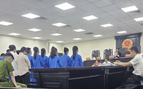 "Ông trùm" lập hàng chục công ty ma lừa đảo liên quan đến Mr Pips lĩnh án