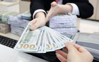 Giá USD tự do biến động mạnh