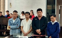 Xét xử vụ án sử dụng hóa chất độc hại để sản xuất giá đỗ, gây xôn xao dư luận