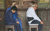 Cựu Giám đốc Công ty Đại Thành cùng đồng phạm gây thiệt hại nặng nề cho BIDV Tây Sài Gòn