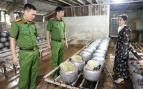 Phát hiện cơ sở sản xuất giá đỗ ở Hà Tĩnh dùng chất cấm "nước kẹo"