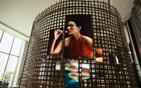 Có gì ở triển lãm nghệ thuật "Echoes of Elegance"?