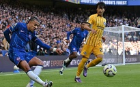 Soi tỉ số trận Chelsea – Brighton: Chờ bất ngờ ở Stamford Bridge