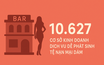 TP HCM hiện có 10.627 cơ sở kinh doanh dịch vụ dễ phát sinh tệ nạn mại dâm