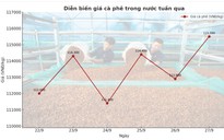 Giá cà phê hôm nay 28-9: Biến động dữ dội, kiểm soát thế nào?