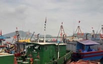 Bão số 10 Bualoi giật cấp 15, sóng biển cao 8-10 m: Hỏa tốc cấm tàu thuyền ra khơi