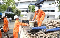 EVNCPC huy động gần 350 nhân lực hỗ trợ Quảng Trị và Hà Tĩnh sau bão số 10