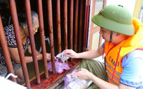 Những hình ảnh ấm áp tình người trong mưa bão của Công an Thanh Hóa