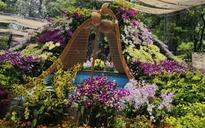 Ngành hoa Đà Lạt "sốc" vì bão hủy đơn hàng trước ngày khai giảng