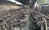 Thủ tướng Chính phủ yêu cầu điều tra nguyên nhân vụ cháy bãi xe dưới gầm cầu Vĩnh Tuy