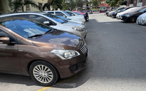 Nhiều mẫu xe cũ không tương thích với xăng E10