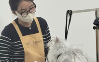 Tự tin khởi nghiệp