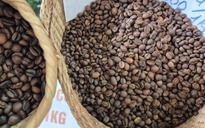 Giá cà phê hôm nay 8-9: Có tăng lại?