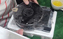 Tổng Công ty Điện lực TP HCM nói gì khi người dân tự lắp công tơ điện để đối chứng?