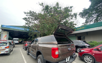 Xe bán tải chịu thuế tiêu thụ đặc biệt từ hôm nay 1-1-2026