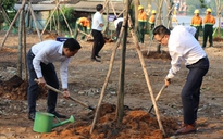 TPHCM phát động trồng cây xanh nhân Ngày Cây xanh Việt Nam