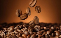 Phát hiện 6 "bảo bối" chống tiểu đường trong cà phê