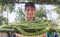 Khởi nghiệp online với cây giống, hoa kiểng Tết