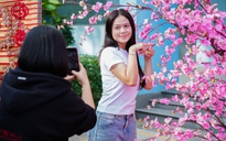 Sắc xuân ngập tràn với nhiều hoạt động ý nghĩa dành cho học sinh, sinh viên