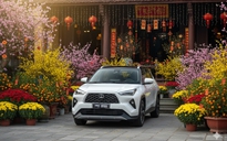 Phí trước bạ ô tô tăng bất thường ở Đà Nẵng, cơ quan thuế nói do sơ suất