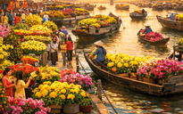 Thông tin đáng chú ý về chợ hoa xuân “Trên bến dưới thuyền” Tết Bính Ngọ của TPHCM