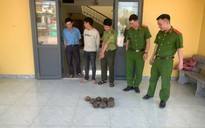 Một người dân bất ngờ phát hiện 8 cá thể quý hiếm bên đường