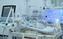 9  trẻ em bị bỏ rơi chưa có giấy khai sinh tại Bệnh viện Từ Dũ