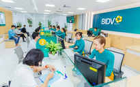 Những "cá mập" nào sẽ mua 264 triệu cổ phiếu phát hành thêm của BIDV?