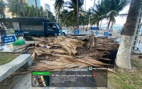 Khánh Hòa: Tháo dỡ quán bar có nhân viên cầm xẻng dọa đánh khách du lịch