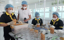 Thanh niên đối mặt rủi ro việc làm từ làn sóng trí tuệ nhân tạo