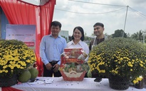 CLIP: Nữ bí thư xã cùng TikToker livestream bán cúc mâm xôi nở sớm cho nhà vườn